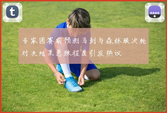 专家团赛前预测马刺与森林狼次轮对决结果悬殊程度引发热议